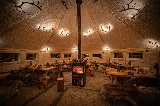 Reindeer Sledding and Feeding with Chance of Northern Lights Tromso - Group size, timing, and comfort: the good and the awkward