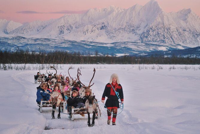 Reindeer Sledding and Feeding with Sami Culture in Tromso. - Sami culture and reindeer sledding in Tromsø Lapland