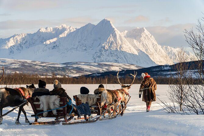 Reindeer Sledding and Feeding with Sami Culture in Tromso. - Getting there from Tromsø: the shared transfer rhythm