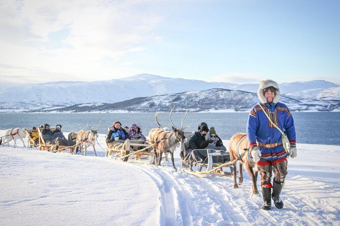 Reindeer Sledding Experience and Sami Culture Tour from Tromso - Key highlights to plan your day