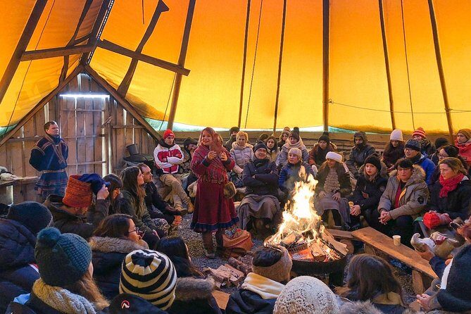 Reindeer Sledding Experience and Sami Culture Tour from Tromso - Feeding about 300 wild reindeer up close (yes, bring patience)
