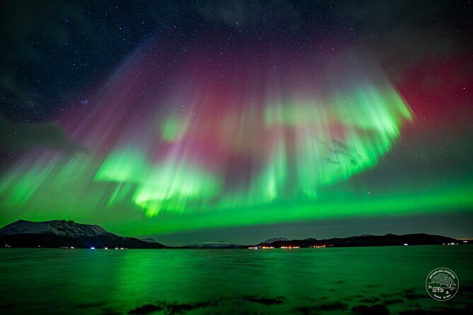 Small Group Van Journey in Search of the Northern Lights - Who this tour fits best (and who might want to rethink it)
