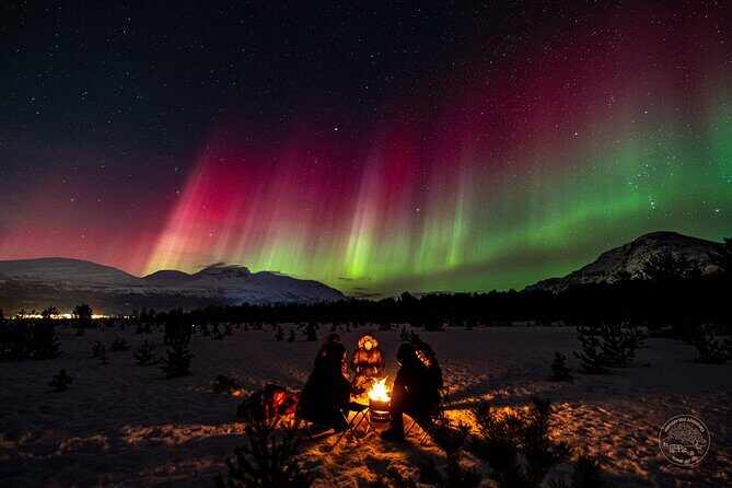 Small Group Van Journey in Search of the Northern Lights - Aurora photo coaching that focuses on what you can control