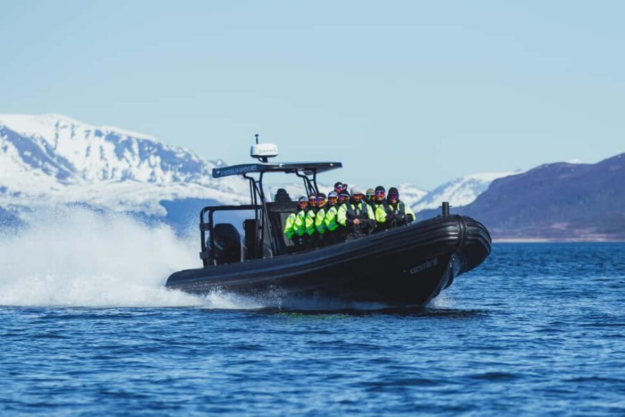 Sortland: Trollfjord RIB Boat Tour - RIB boat comfort and safety: built for rough water