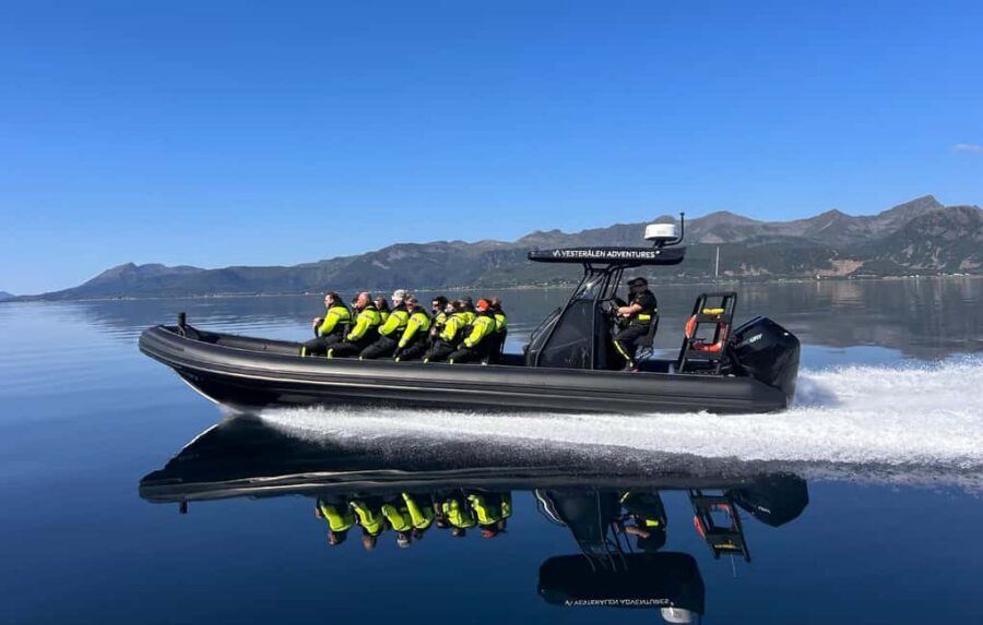 Sortland: Trollfjord RIB Boat Tour - Price and value: is $227 worth it?