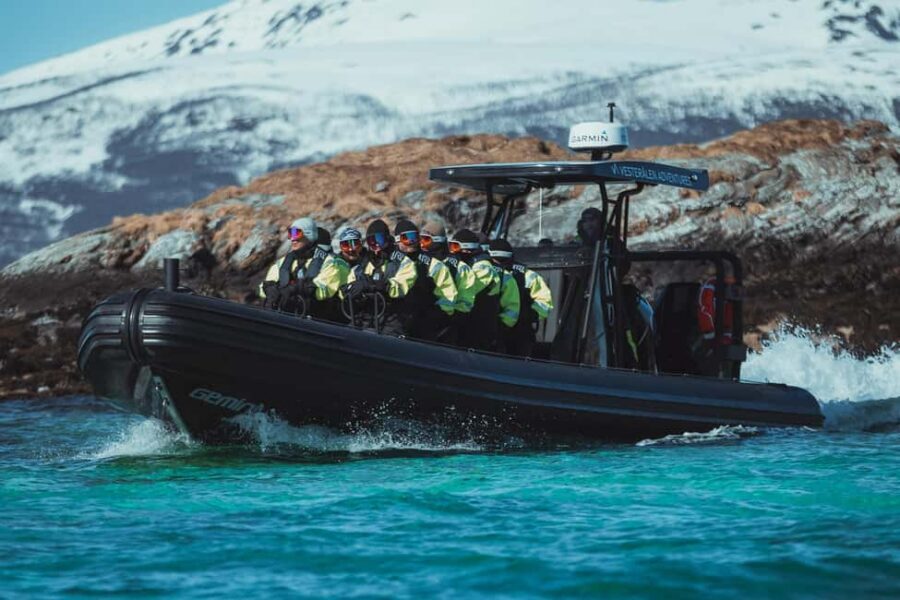 Sortland: Trollfjord RIB Boat Tour - The fast run through Vesterålen and Raftsundet strait
