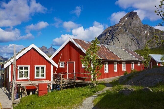 Special Summer Cruise Bus Tour of Lofoten - Getting On the Bus: Gravdal Pickup and Cruise Tender Reality