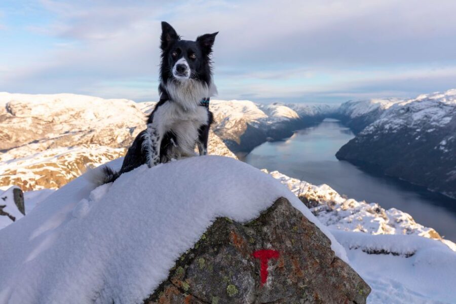 Stavanger: Preikestolen Winter Hike + Hot Lunch - Stavanger pickup: how the day starts smoother than DIY planning