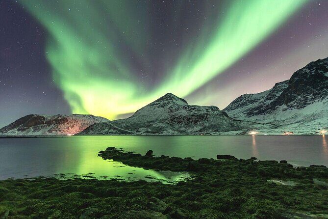 Tour of the authentic fjords of Kvaløya - Key reasons this fjord tour works so well