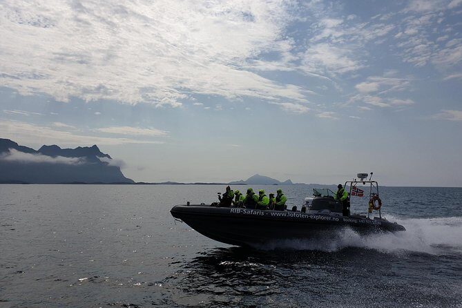 Trollfjord and Sea Eagle Safari Tour from Svolvaer - Meet at Joh. E. Paulsens gt. 12B: Keeping Things Simple