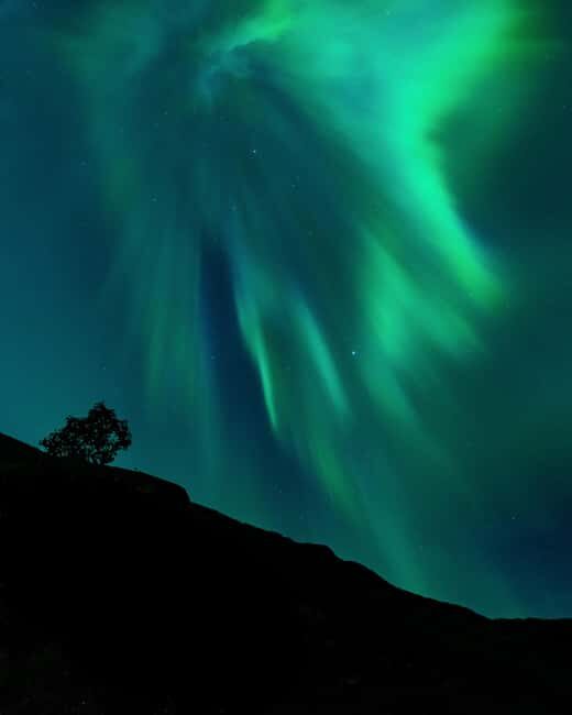 Tromsø: A Sámi Survival Story and Aurora Hunt - Key points before you go