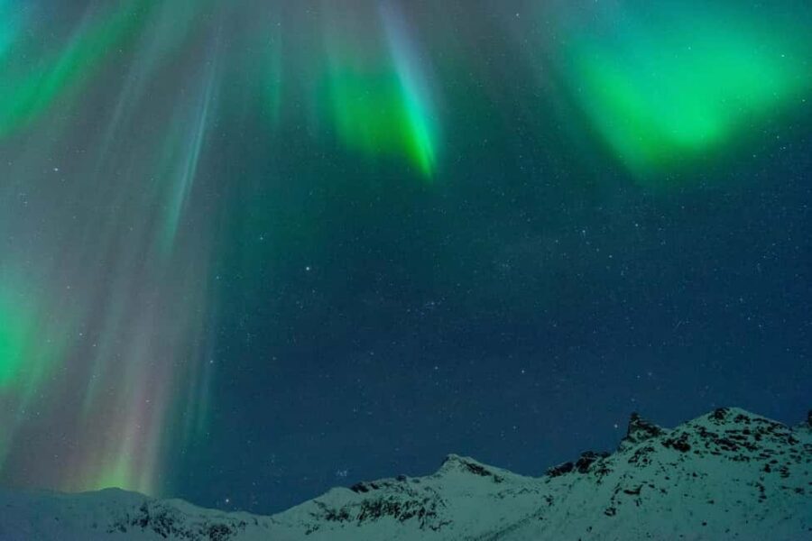 Tromsø: A Sámi Survival Story and Aurora Hunt - Choosing the viewing spot: following weather and aurora activity