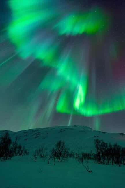 Tromsø: A Sámi Survival Story and Aurora Hunt - Cost and value: what $151 buys you in real terms