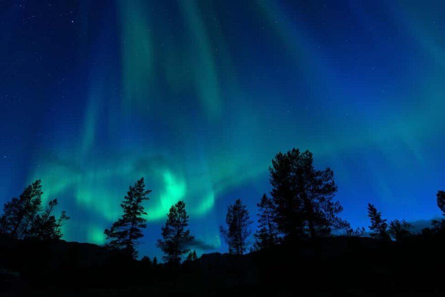 Tromsø: A Sámi Survival Story and Aurora Hunt - Meeting at Radisson Blu and finding the right minivan fast