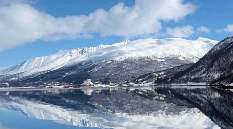 Tromsø: Arctic Fjord Cruise & Fishing Experience - Key Highlights You’ll Feel Right Away