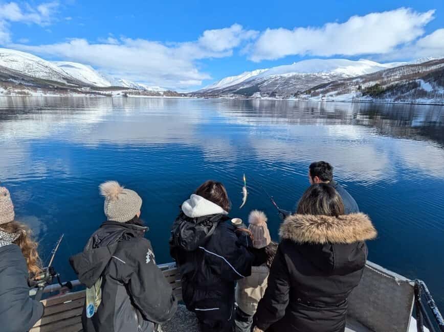 Tromsø: Arctic Fjord Cruise & Fishing Experience - Why This Tromsø Fjord Cruise Feels Like Arctic Time