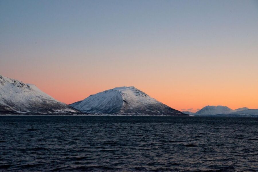 Tromsø: Arctic Fjord Cruise in Polar Landscapes - The warm catamaran setup: panoramic views without freezing the whole time