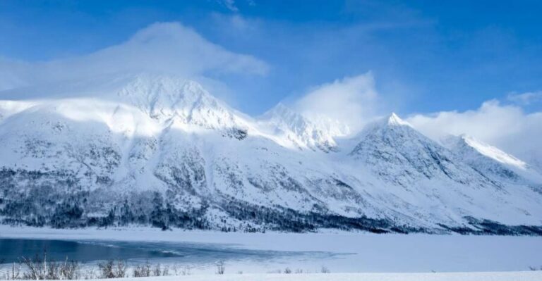 Tromsø: Arctic Landscape and Fjord Tour with Snacks - Eidvegen 298: The First Photo Stop Where the Fjord View Starts to Click