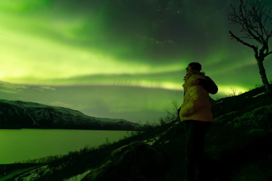 Tromsø: Aurora Quest Minibus Adventure - The forecast briefing: what it means for your chances