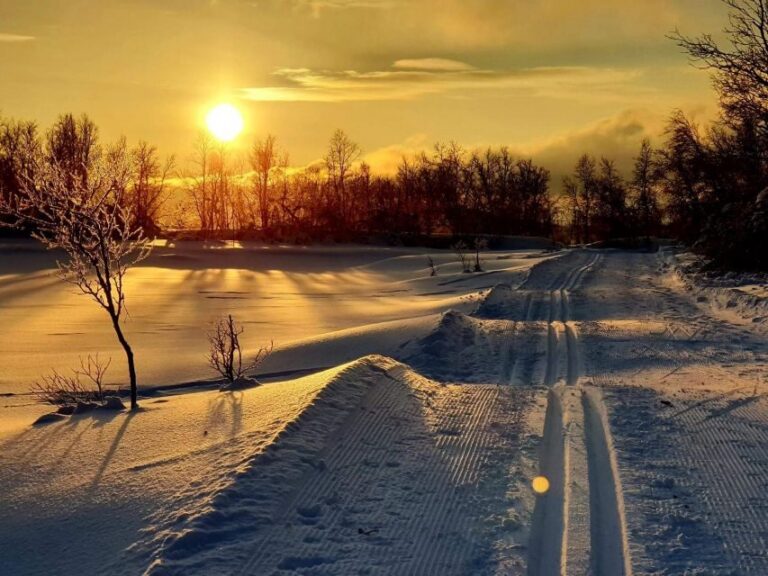Tromsø: Cross Country Guided Skiing Course - Price and value: what your $99 actually buys