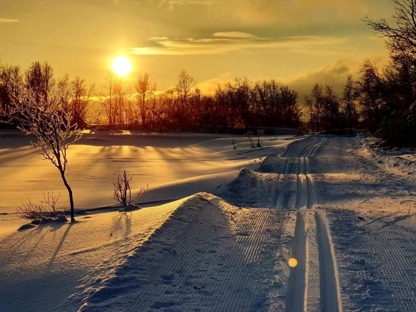 Tromsø: Cross Country Guided Skiing Course - Price and value: what your $99 actually buys