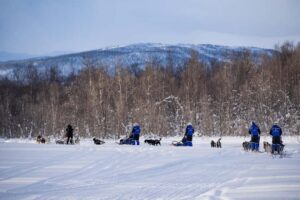 Tromsø: Dog Sledding Adventure at Camp Aspemo - The Huskies Briefing: Where You Learn to Be a Better Musher