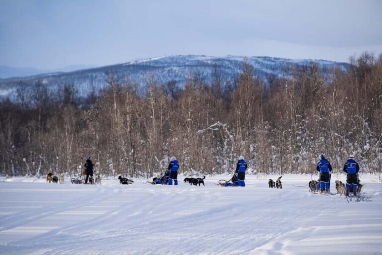 Tromsø: Dog Sledding Adventure at Camp Aspemo - The Huskies Briefing: Where You Learn to Be a Better Musher