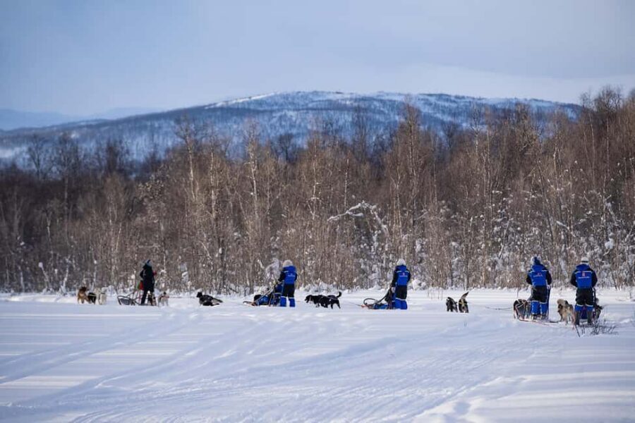 Tromsø: Dog Sledding Adventure at Camp Aspemo - The Huskies Briefing: Where You Learn to Be a Better Musher
