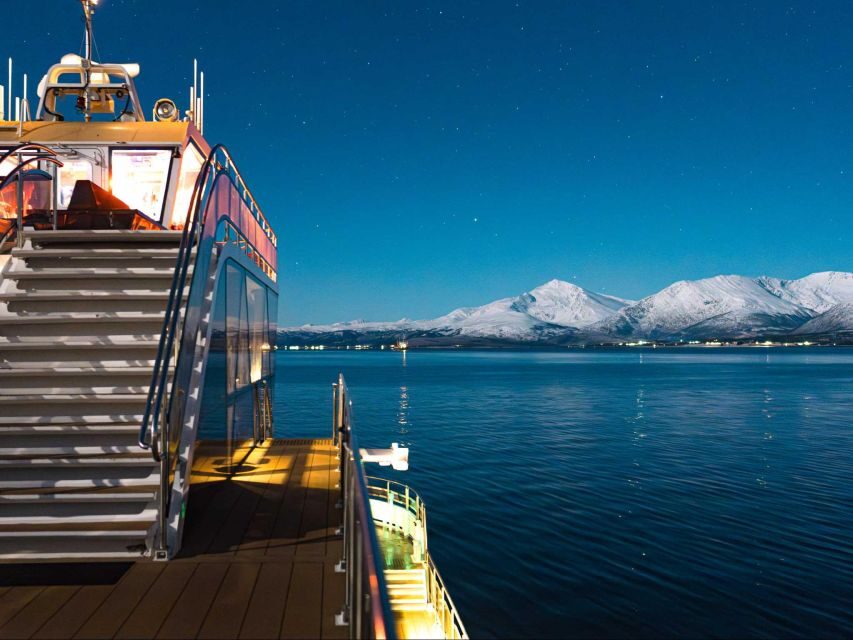Tromsø: Electric Northern Lights Cruise - Why this Tromsø Northern Lights cruise feels different (electric boat + real waiting time)