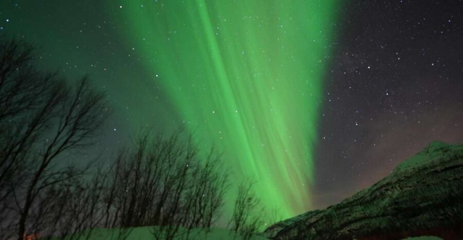 Tromsø: English/Spanish Aurora Pathfinder Tour with Photos - Key reasons this tour works in the Arctic