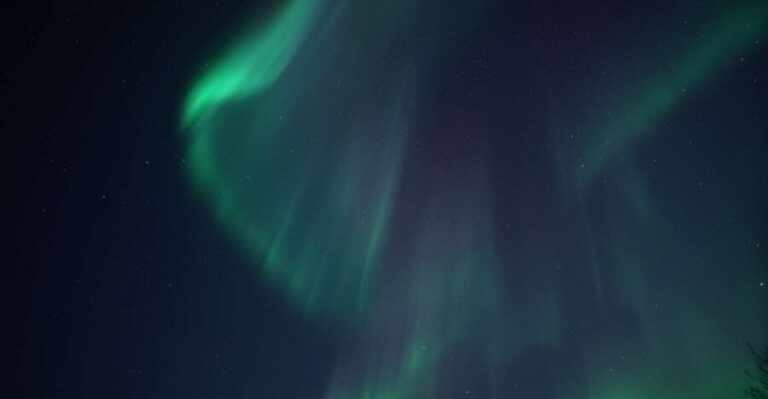 Tromsø: Evening Aurora Cruise (dinner optional) - On the Water: How the Cruise Sets Up Your Aurora Odds