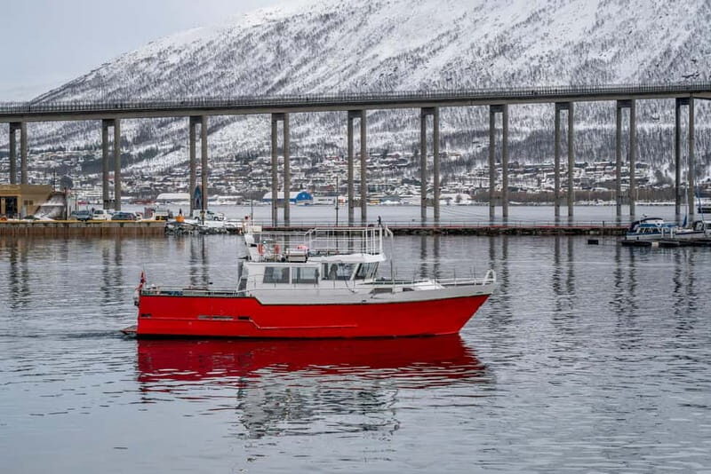 Tromsø: Fishing Sea Safari - Meeting Point at Storgata 88: Find the Green Building, Get Suit Help