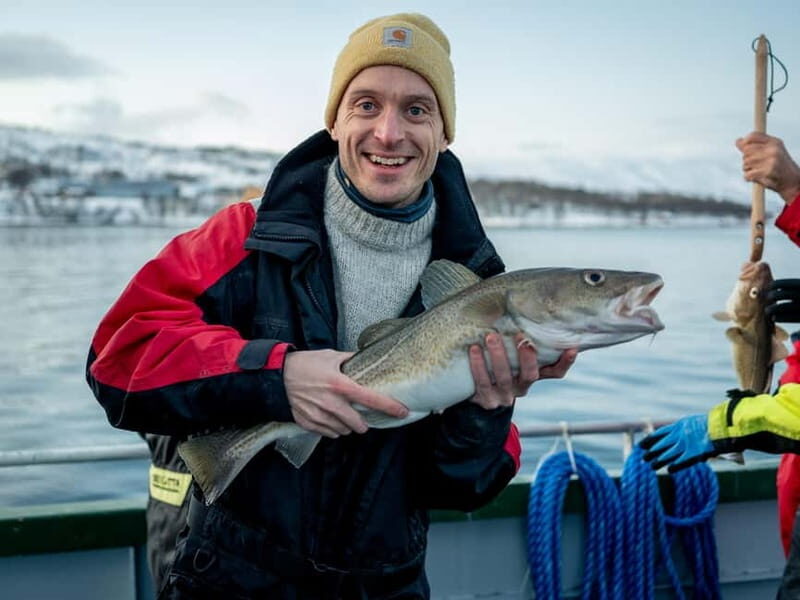Tromsø: Fishing Sea Safari - The Boat Cruise Part You’ll Actually Remember: Fjords, Wildlife, and Hot Drinks