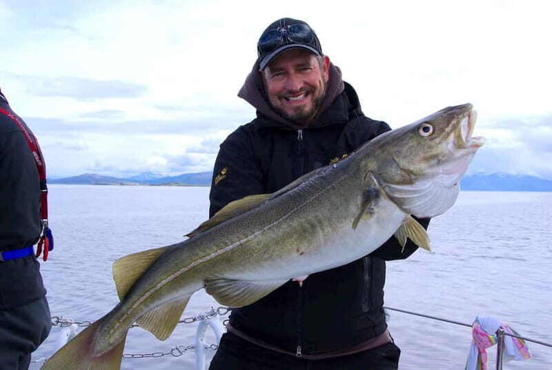 Tromsø: Fishing Sea Safari - What This Safari Feels Like for Beginners, Families, and Cold-Weather First-Timers