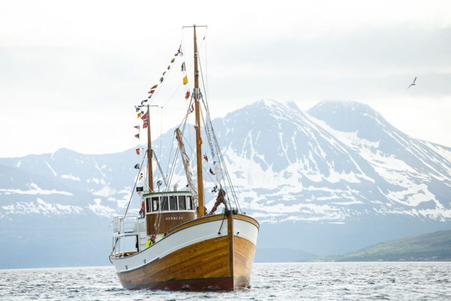 Tromsø: Fjord History Cruise with Snack and Drinks - Price and Value: Is $156 Worth 2.5 Hours?