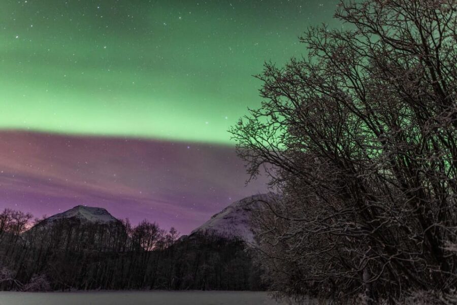 Tromsø: Fjords & Beaches Tour with Campfire and Arctic Food - Sustainability and leaving no trace