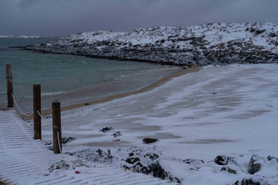 Tromsø: Fjords & Beaches Tour with Campfire and Arctic Food - Price and value: what you’re really paying for at $304