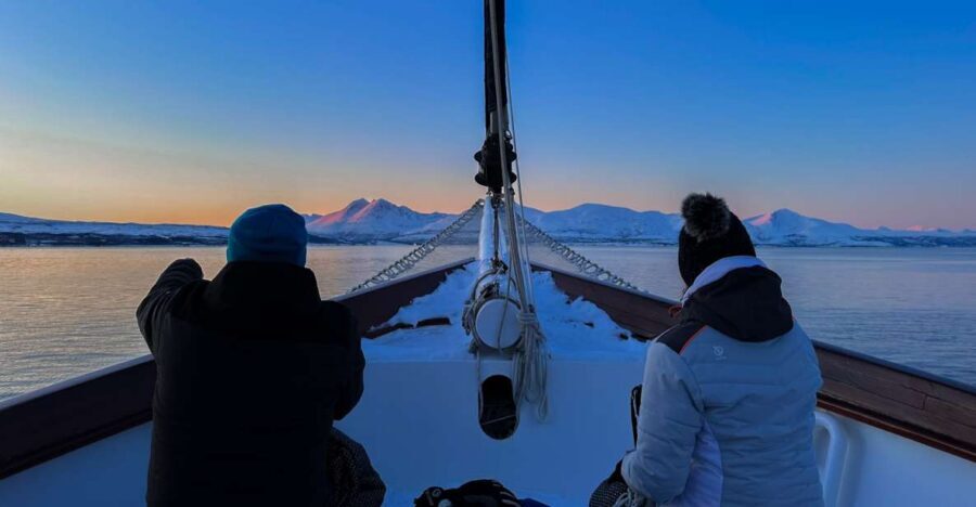 Tromsø: Luxury Polar Fjord Cruise w/ Hot Tub & Polar Plunge - Your small-group schedule: what happens during the 270 minutes
