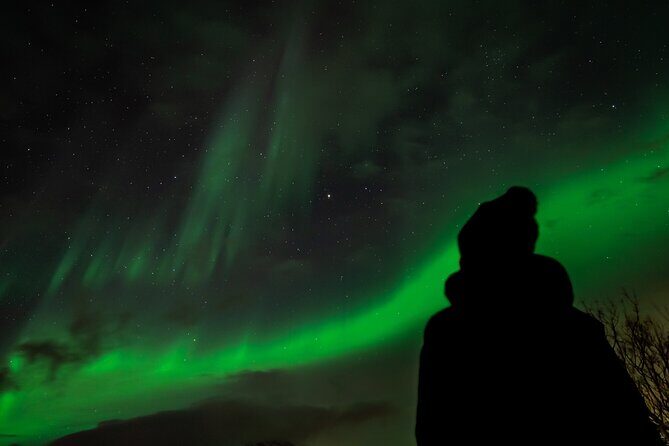 Tromsø: Northern Lights by Minibus - Free Photos and Warm Dinner - Price and What You’re Really Buying for $237.43