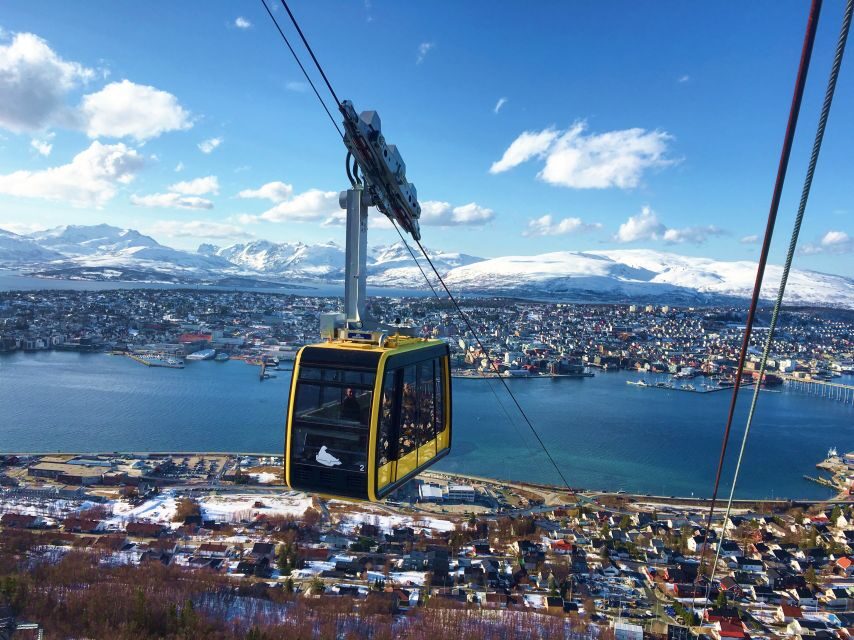 Tromso: Northern Lights Cable Car Excursion - Key things that make this trip work