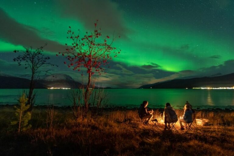 Tromsø: Northern Lights Hunt with Photos and Hot Food - Pickup in Tromsø: simple start, smooth flow