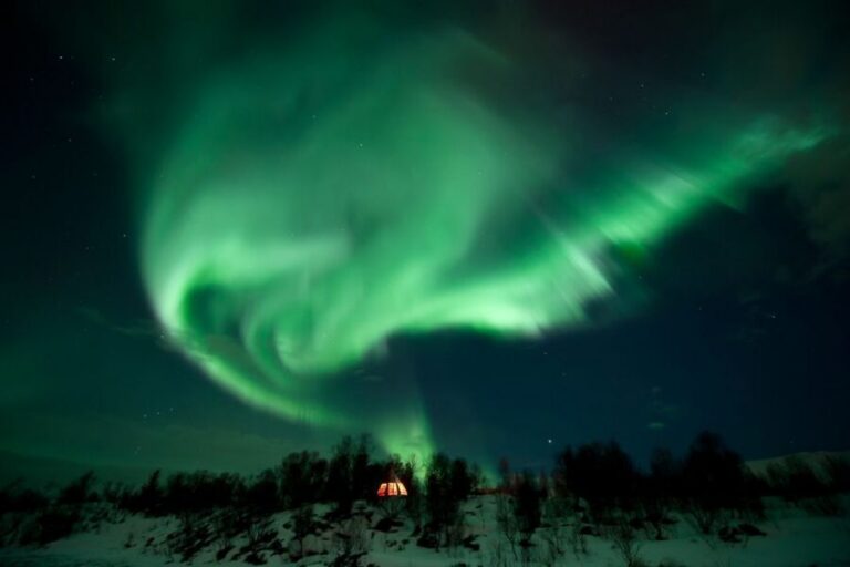 Tromsø: Northern Lights Husky Visit with Traditional Dinner - Where you meet and why being on time matters
