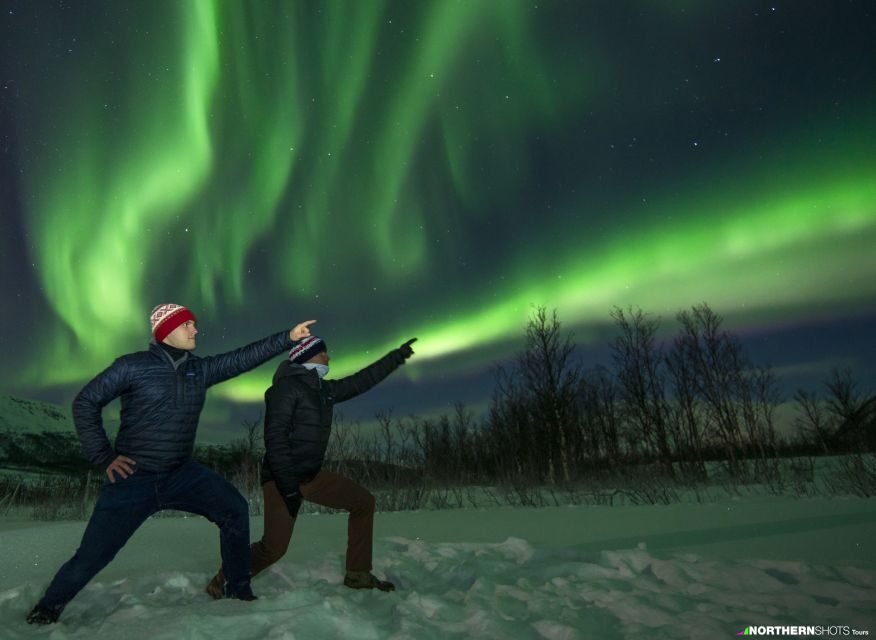 Tromsø: Northern Lights Photography Tour - What the Small-Group Experience Actually Changes