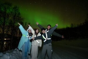 Tromsø: Northern Lights Tour with Local Guide and Photos - Mercedes Sprinter Comfort: Why the Ride Matters at -Temps