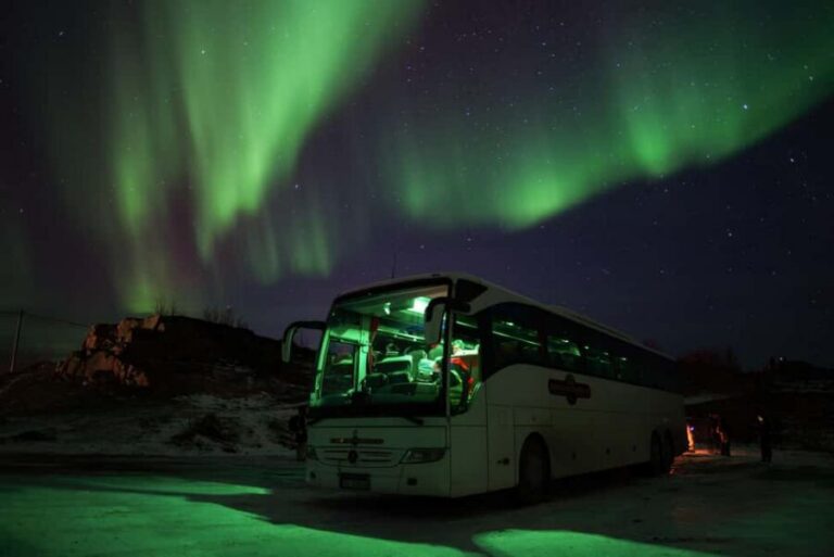 Tromsø: Northern Lights Tour with Local Stories & Photos - The bus is your basecamp: Wi‑Fi, toilet, and real warmth