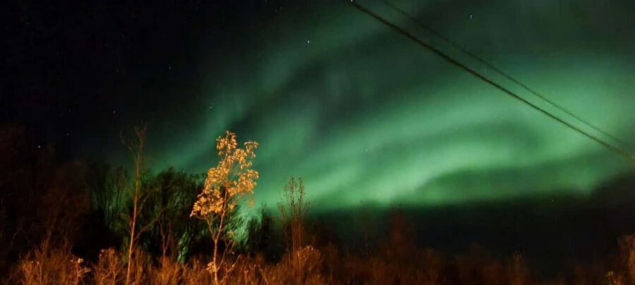 Tromsø: Northern Lights Tour with Photos & Snacks - Minibus Comfort for Arctic Darkness: Why Transport Matters