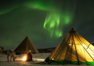 Tromsø: Reindeer Camp Dinner with Chance of Northern Lights - The Nighttime Reindeer Feed: What It Feels Like When the Herd Arrives