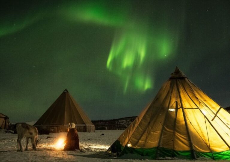 Tromsø: Reindeer Camp Dinner with Chance of Northern Lights - The Nighttime Reindeer Feed: What It Feels Like When the Herd Arrives