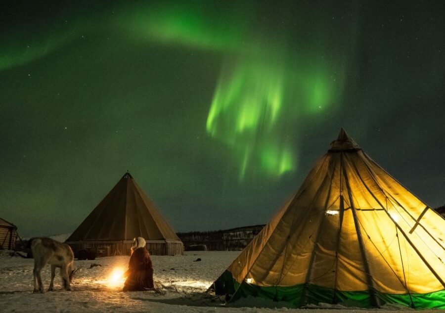 Tromsø: Reindeer Camp Dinner with Chance of Northern Lights - The Nighttime Reindeer Feed: What It Feels Like When the Herd Arrives