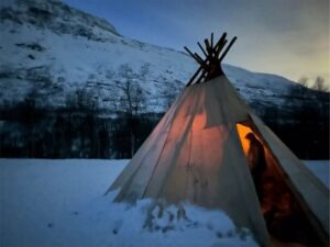 Tromsø: Reindeer Experience at a Sami Camp - First contact at the Sami camp: feeding reindeer and getting the real deal